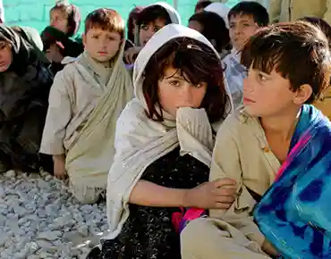 Regulatory Compliance and Transparency